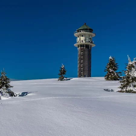 Lägenhet Schwarzwaldhaus Krebs - Peter Lustig, Lenzkirch, Feldberg
