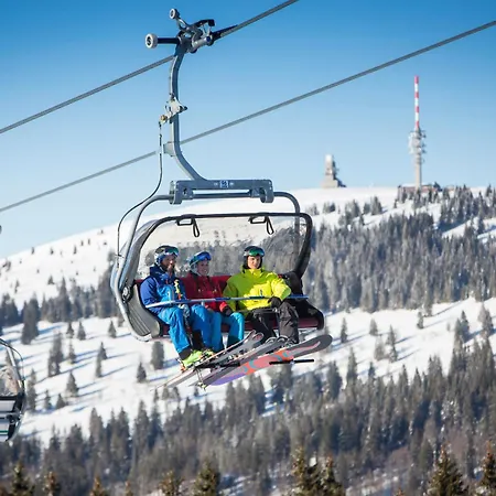 Schwarzwaldhaus Krebs - Peter Lustig, Lenzkirch, Feldberg レンツキルヒ