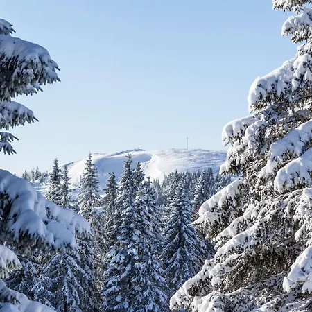 Schwarzwaldhaus Krebs - Peter Lustig, Lenzkirch, Feldberg Lägenhet