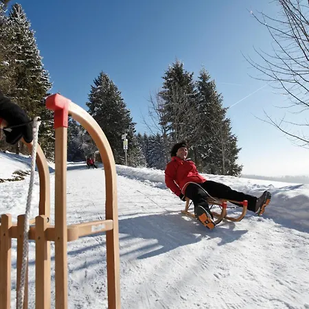 Schwarzwaldhaus Krebs - Peter Lustig, Lenzkirch, Feldberg レンツキルヒ