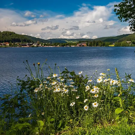 Schwarzwaldhaus Krebs - Peter Lustig, Lenzkirch, Feldberg * レンツキルヒ